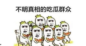 吃瓜群众娱乐大百科视频,揭秘娱乐圈幕后故事与趣味瞬间